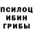 Псилоцибиновые грибы Psilocybe Yury Marchuk