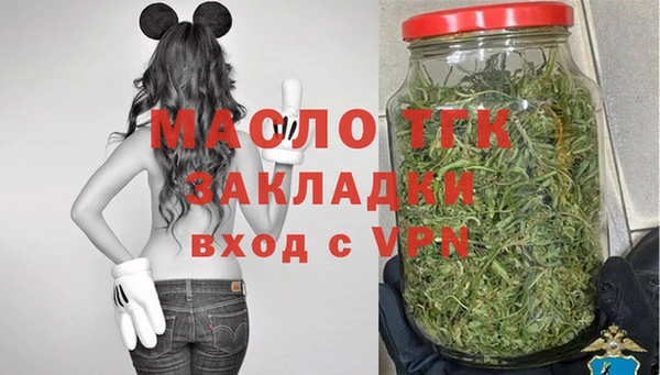 индика Армянск