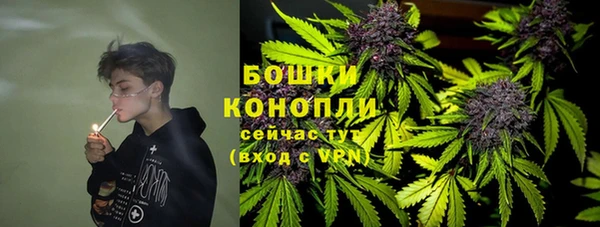 прущие грибы Алзамай